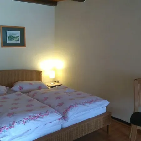 Waldblick Apartment Brotterode