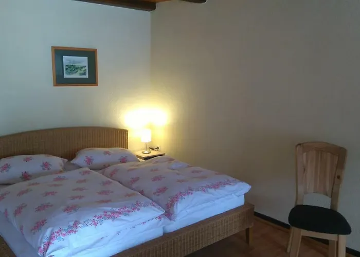 Waldblick Daire Laudenbach (Thuringia)